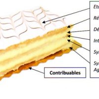 Millefeuille territoiral : qui fait quoi&nbsp;?